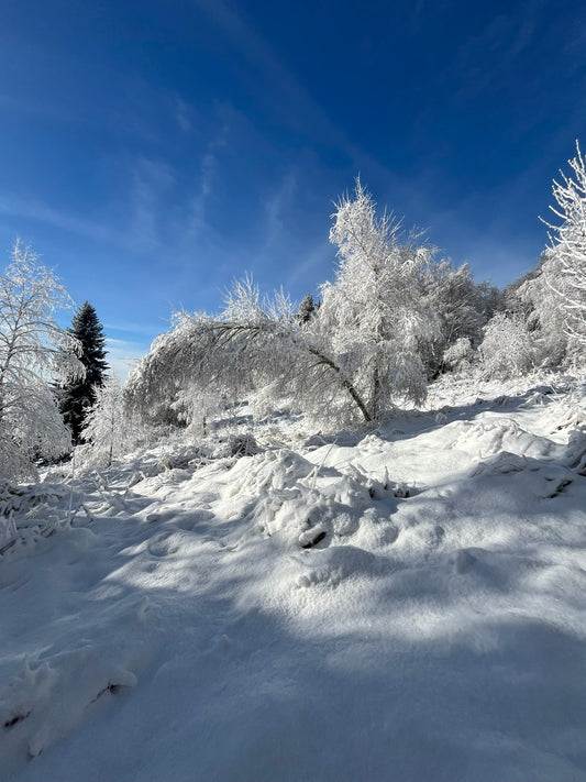 Knap trail – moje najlepše tekaško doživetje