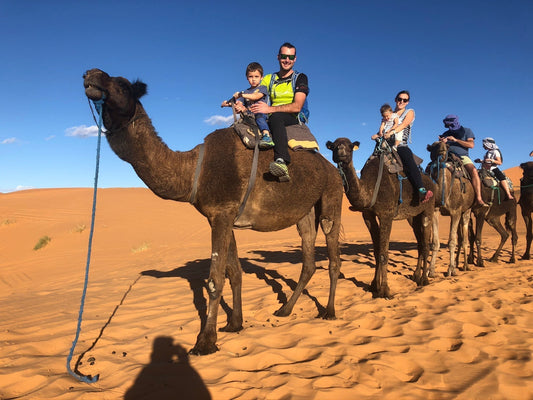 Sipine Erg Chebbi, Maroko